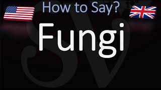 How to Pronounce Fungi [upl. by Haleigh]