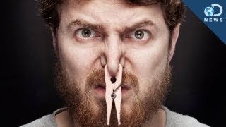 How Stress Makes Things Smell Bad [upl. by Nosaes]